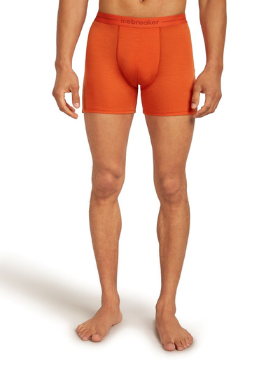 Majtki męskie bokserki 150 Icebreaker Anatomica Boxers