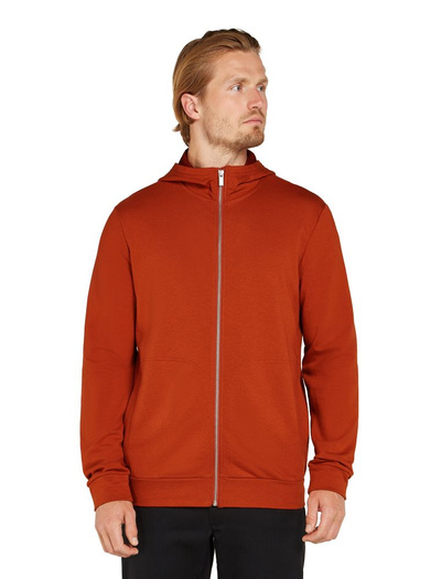 Bluza męska Icebreaker Central Classic LS Zip Hoodie