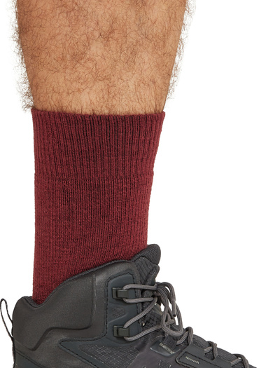 Skarpety męskie Icebreaker Hike+ Light Crew