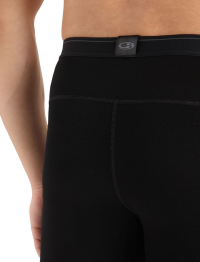 Legginsy męskie merino Icebreaker 260 Tech Leggings wFly