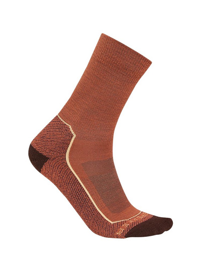 Skarpety damskie Icebreaker Hike+ Light Crew