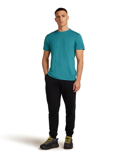 Spodnie dresowe męskie merino Icebreaker 300 RealFleece Descender Jogger