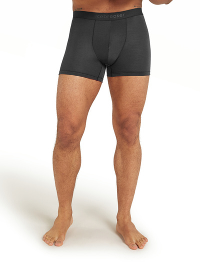 Majtki męskie bokserki 150 Icebreaker Anatomica Boxers