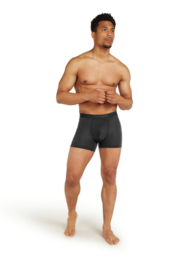 Bokserki męskie 150 Icebreaker Anatomica Boxers