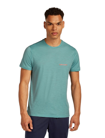 Koszulka męska z krótkim rękawem merino Icebreaker 150 Tech Lite SS Tee IB Wordmark