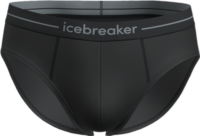 Majtki slipy męskie Icebreaker 150 Anatomica Briefs