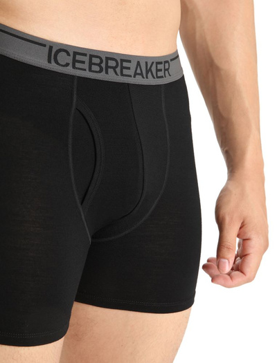 Bokserki męskie 150 Icebreaker Anatomica Boxers wFly