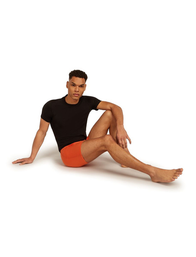 Majtki męskie bokserki 150 Icebreaker Anatomica Boxers