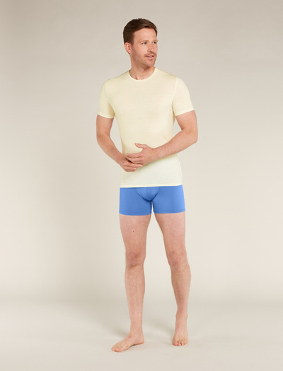 Majtki męskie bokserki merino Icebreaker 150 Anatomica Boxers BAJA