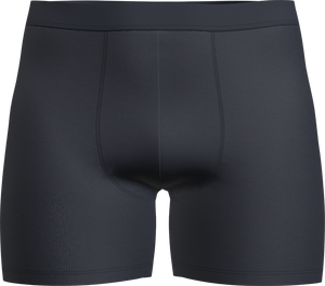 Majtki męskie bokserki Icebreaker Core Boxers