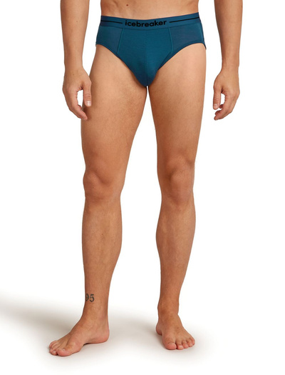 Majtki slipy męskie Icebreaker 150 Anatomica Briefs