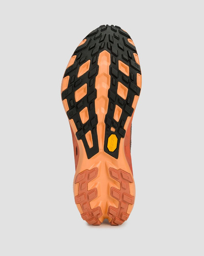 Buty biegowe trailowe X-Bionic Terraskin X02