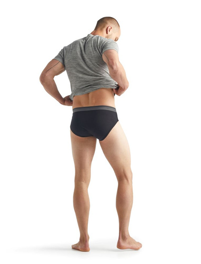 Majtki slipy męskie Icebreaker 150 Anatomica Briefs