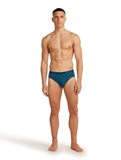 Majtki slipy męskie Icebreaker 150 Anatomica Briefs