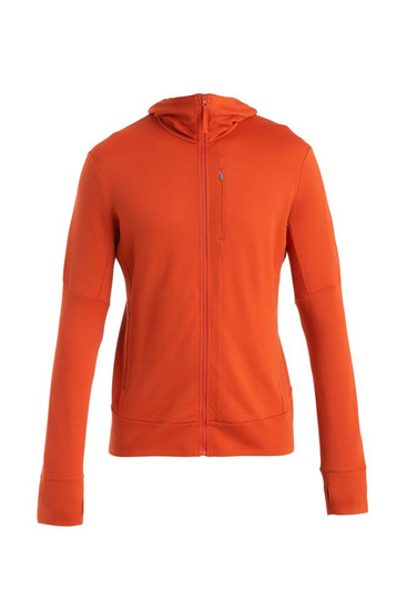 Bluza męska Icebreaker 260 Quantum IV LS Zip Hoodie