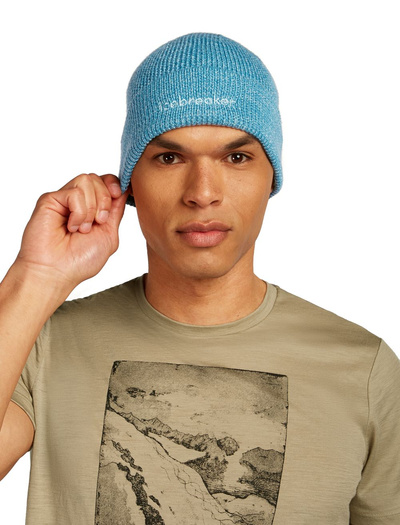 Czapka unisex merino Icebreaker All Day Toque Beanie