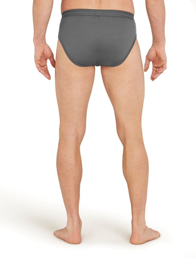 Majtki slipy męskie Icebreaker 150 Anatomica Briefs