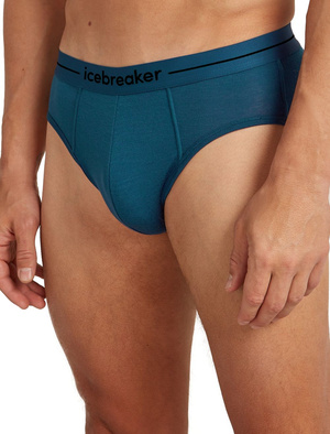 Majtki slipy męskie Icebreaker 150 Anatomica Briefs