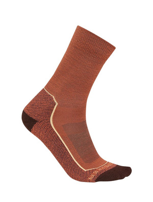 Skarpety damskie Icebreaker Hike+ Light Crew