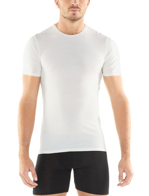 Koszulka męska z krótkim rękawem merino Icebreaker 150 Anatomica SS Crewe