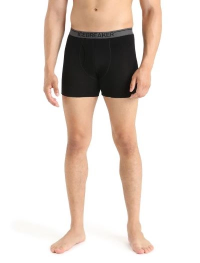Bokserki męskie 150 Icebreaker Anatomica Boxers wFly