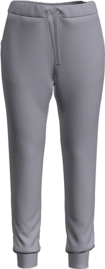Spodnie damskie Icebreaker Crush II Pants szary