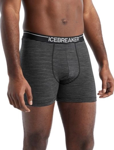 Bokserki męskie Icebreaker Anatomica Boxers